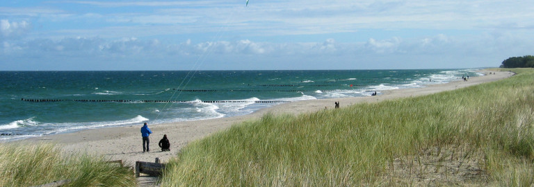 Sandstrand mit Dünengras