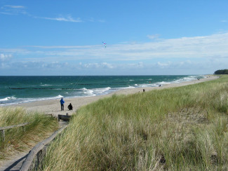 Ostsee-Strand Zingst mit Düne