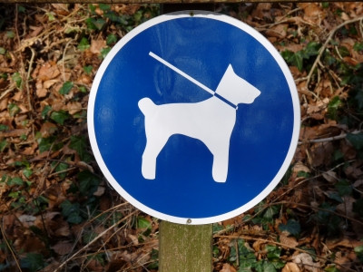 Schild Hund an der Leine